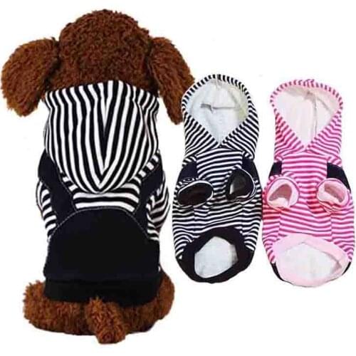 Pet harness siamese sweater with cartoon pictures warm clothes use fashion lovely designer pets clothes of cat and dog universal