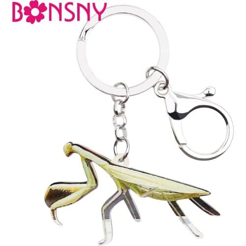 Bonsny Acrylic Novelty Mantis Devil Horse Key Chains Keychains Holder Animal Jewelry Gift For Women Girls Bag Car Wallet Pendant