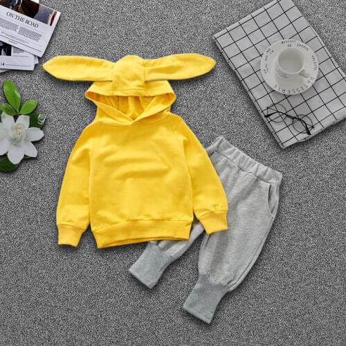 Baby Girls Boys Clothes Casual Hooded Sweatshirt + Pants 2pcs Outfit Cotton Baby Tracksuit Set 2 3 years old