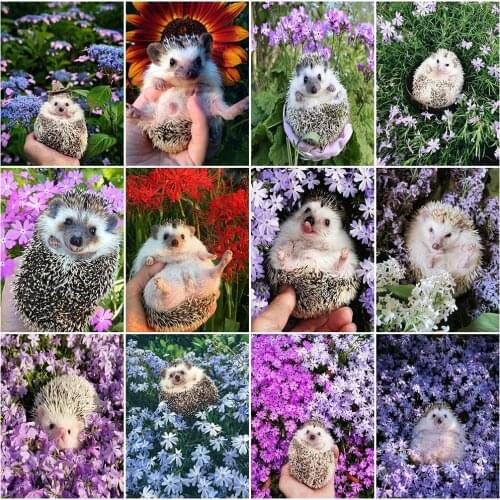 MomoArt Diamond Painting Hedgehog Cross Stitch Diamond Mosaic Flower Full Drill Square Embroidery Animal Needlework Wall Decor
