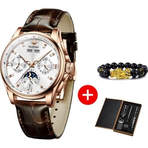 OUPINKE Men Mechanical Watch Luxury Automatic Watch Leather Sapphire Waterproof Sports Moon Phase Wristwatch Montre homme