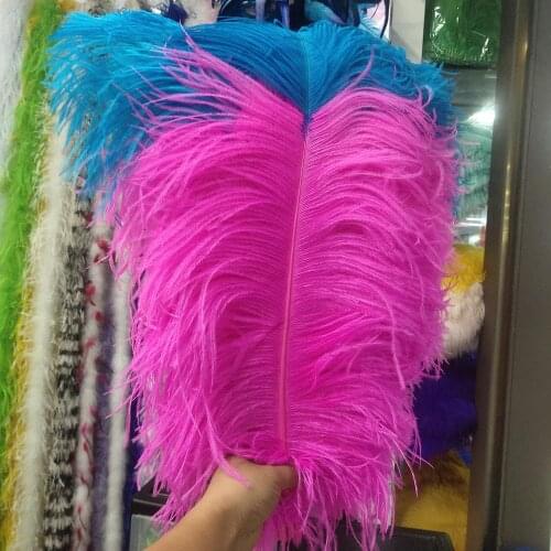 Wholesale 50 pcs Rose and Sky Blue "Thick Stem" Male Ostrich Feathers 24-26inch/60-65cm DIY Jewelry Craft Making Decoration