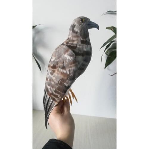 Large 48cm simulation feathers eagle Handmade model stage prop,home garden decoration toy gift w0770