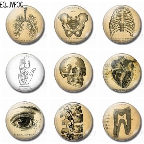 Human Body Unraveling Organs Fridge Magnets 30 MM Glass Gem Magnetic Stickers for Refrigerator Home Decor Gift of Doctors