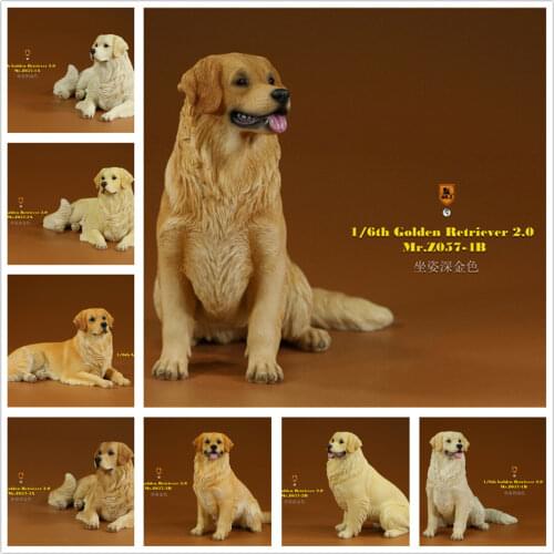 Mr.Z 1/6 Golden Retriever Figure Pet Dog Animal Model Colllector Decor Toys Animals Model Collectible Toys Dog For kid