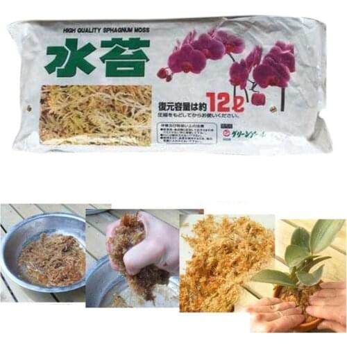 2 PACK Sphagnum Moss Garden Bonsai Nutrition Organic Fertilizer For Orchid Phalaenopsis Musgo Sphagnum Flower Garden Supplies