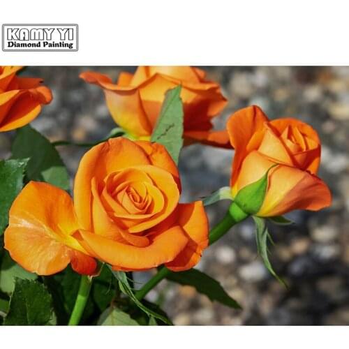 5D DIY Diamond embroidery Cross stitch Orange rose Full Square/Round Diamond mosaic Diamond painting decoration HYY
