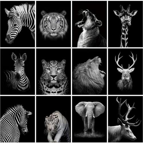 EverShine painting by numbers Animals DIY oil paint by numbers zebra Picture Art Drawing Canvas Hand Painted Home decor