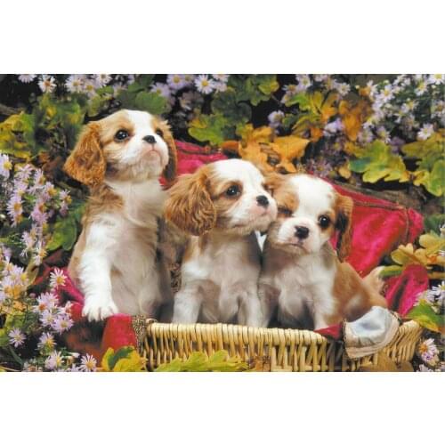 Three puppies The wooden puzzle 1000 pieces ersion jigsaw puzzle white card adult childrens educational toys