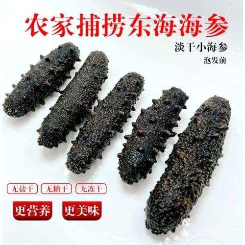 Wild light dry sea cucumber dry cargo thorn bulk sea rice thorn non-Liao ginseng small sea cucumber sea three sea seepage 50g
