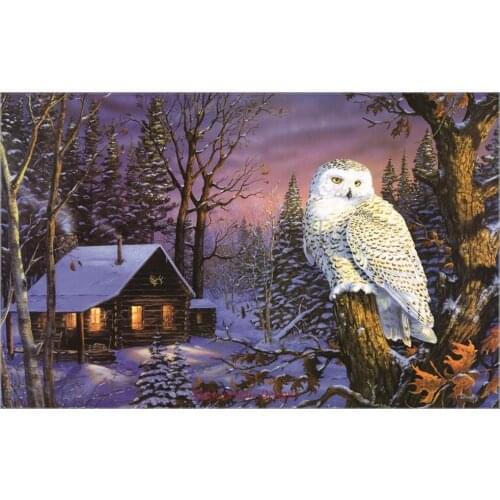 Embroidery Counted Cross Stitch Kits Needlework - Crafts 14 ct DMC Color DIY Arts Handmade Decor - Night Watch 2