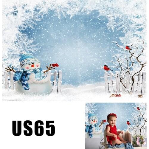 Christmas Greeting Background Baby Photo Booth Backdrop Snowman Fence Bullfinches Froze Photography Studio Portrait Wallpaper