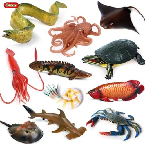 Oenux Underwater World Marine Animals Moray Coelacanth Carb Squid Devil Fsh Model Action Figures Ocean Sealife Aquarium Kid Toy