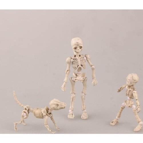 2.5 inch Human Anatomical Anatomy Skeleton Model Learn Aid Anatomy Human Skeletal Model