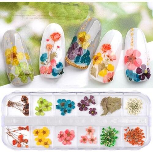 Mixed Dried Flowers Leaf Nail Art Decoration with Case Natural Floral Nail Stickers DIY Beauty Nail Decals Polish Manicure Tools