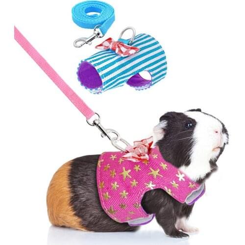 Small Pet Rabbit Harness Vest And Rope Set For Ferret Guinea Pig Bunny Hamster Puppy Bowknot Chest Strap Harness Pet Supplies