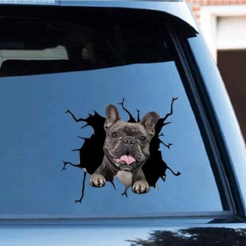 Funny Dog Head In The Crack Car Stickers Decals Motorcycle Accessories Window Decorative Home Decor Wall Sticker 2021
