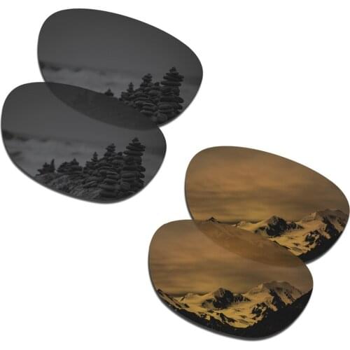 SmartVLT 2 Pairs Polarized Sunglasses Replacement Lenses for Oakley Stringer Stealth Black and Bronze Gold