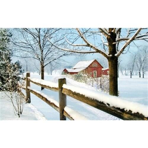 DIY diamond painting cross stitch Needlework diamond mosaic diamond embroidery pattern hobbies and crafts Snow-covered world