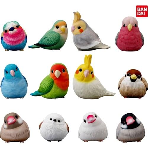 Bandai Genuine Gashapon Toys Cockatiel Sparrow Pacific Parrot Lovebird Rabbit Poodle Hamster Fat Cute Action Figure Toys