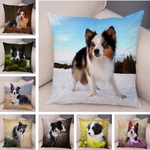 Cute Pet Animal Cushion Cover Scotland Border Collie Soft Plush Pillowcase Decor Dog Printed Pillow Case for Sofa Car 45*45cm