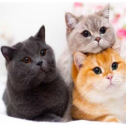 Animal Cat DIY Cross Stitch Embroidery 11CT Kits Craft Needlework Set Printed Canvas Cotton Thread Home Decoration Hot Design