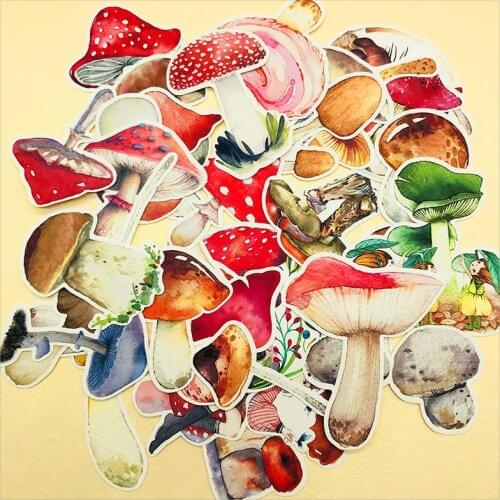 Watercolor hand-painted mushroom stickers autumn rain after the plant DIY scrapbook album diary card gift decoration stickers