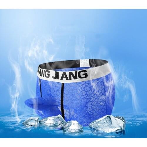 Sexy Panties Underwear Seamless Soft Comfortable G-string Knickers Breathable Intimates Lace Sheer Plus Size Boxer Briefs