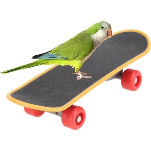 Bird Toys Mini Parrots Skateboard Birds Acrobatics Training Playing Skateboarding Toys for Cockatiel Parakeet Pet Supplies