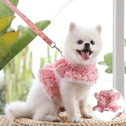 Dog Accessories Newest Pet Chest Harness Traction Small Floral Lace Teddy Bichon Spring Summer Autumn Dog Leash