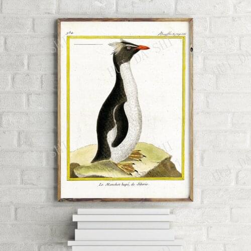 Southern Rockhopper Penguin Vintage Sketch Poster, Retro Wall Art Print