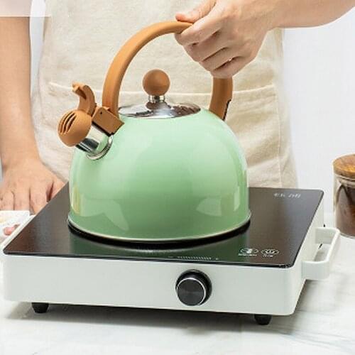 Stainless Steel Boil Water Kettle Silicone Handle Hemispherical Green2.5L Whistle Pot Induction Cooker Household Kitchen Supplie