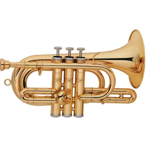 Gold lacquer Brass body Tone D Cornet