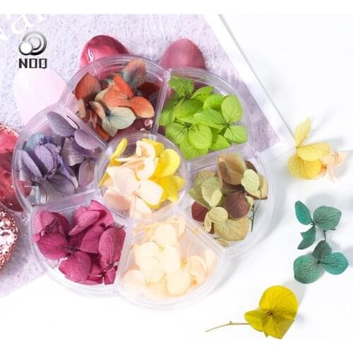 1case Dried Flowers For Nail Leaf Nail Art Decoration Gradient Natural Floral Sticker 3D DIY Nail Art Nail accessories