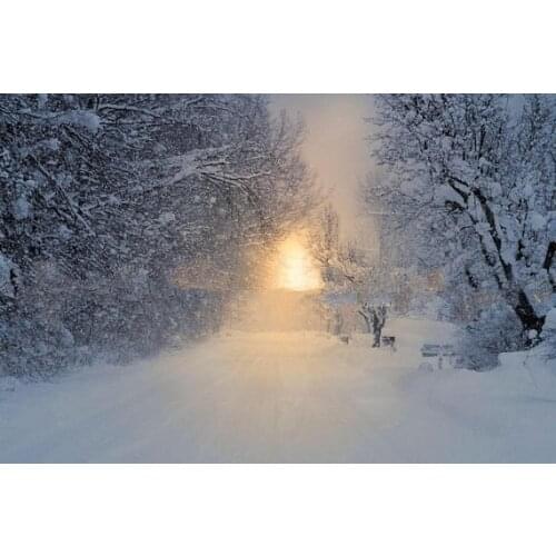 Winter Christmas Snow Road Street Tree road sunrise background High quality Computer print wedding backdrops
