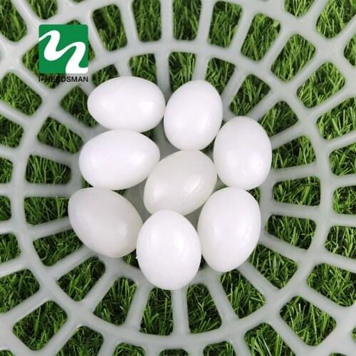 Simulation Birds Eggs Pigeon Fake Eggs For Hatch Poultry Chicken Duck Small Geese Incubation Breeding Solid