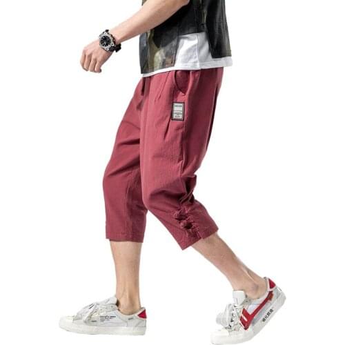 2019 Men Baggy Cross Pants Male Elastic Waist Calf Length Harem Pants Men Casual Hip Hop Trousers Drop Shipping ABZ342