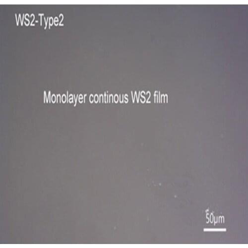 Tungsten disulfide 13: gold film substrate WS2