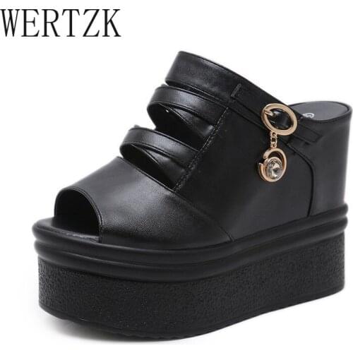 Wertzk Women's Slippers