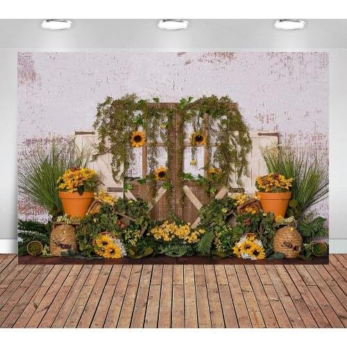 Photo background Sunflowers potted wooden doors green bees decorate bouquets with vanilla in a new photo background