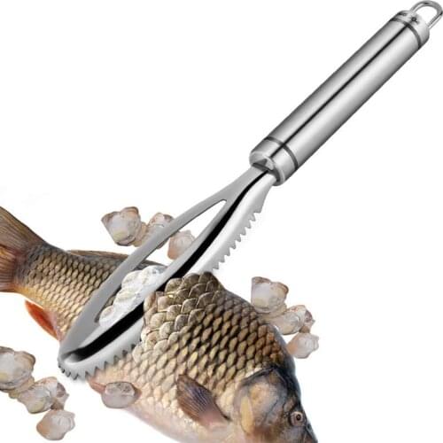 Fish Scalers 24.9 X 3 Cm Fish Scaler Stainless Steel Scaler for Fish Cleaning Tools Fish Skin Brush Fish Tongs Tweezers Scaler