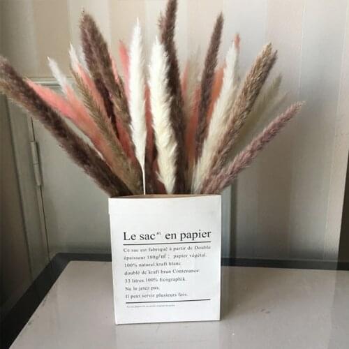 New Artificial Pampas Grass Decor DIY Bouquet Vase Home Decor Plant Dried Flower Reed for New Year Holiday Wedding Party 15PCS