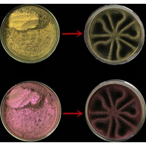 Cosmetic Grade Nail Powder Cat Eye Chrome Mirror Bubble Powder Magnet Pigment DIY Nail Design Decorations Dip Dust Wholesale