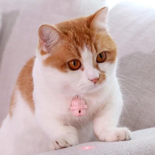 Cat Collar Cat Stick Cat Toy Safety With Bell Cats Collar Safe Soft 3 Colours Supplier Bell Infrared Laser Light Funny Cat Bell
