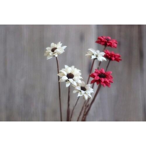 5pcs Saussurea Involucrata Dried Flower For Wedding Party Home Hotel Decoration DIY Bouquet Project Accessory