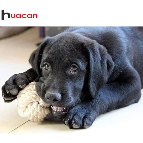 Huacan Diamond Art Painting Black Dog Embroidery Mosaic Animal Home Decoration Crystal Wall Stickers