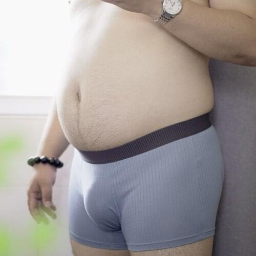 BEARLOOKS Men's Cotton Briefs