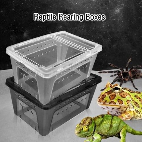 5Pcs Reptile Feeding Box Vivarium Portable Transparent Rearing Box Snake Turtle Spider Hatching Container