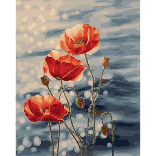 Frameless diy painting by numbers diy picture oil painting on canvas for home decor animal painting 4050cm red poppy