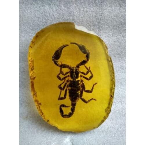 10.5 cm * / Elaborate collection ancient artificial Amber resin scorpion